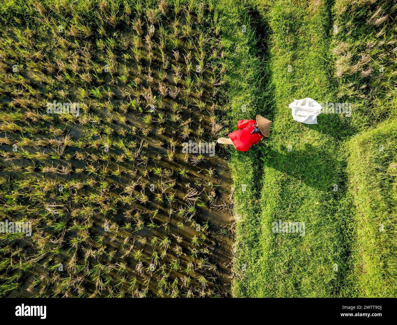 Un moment tranquille dans la nature en tant qu'individu embrasse la végétation luxuriante au bord de l'eau. Banque D'Images