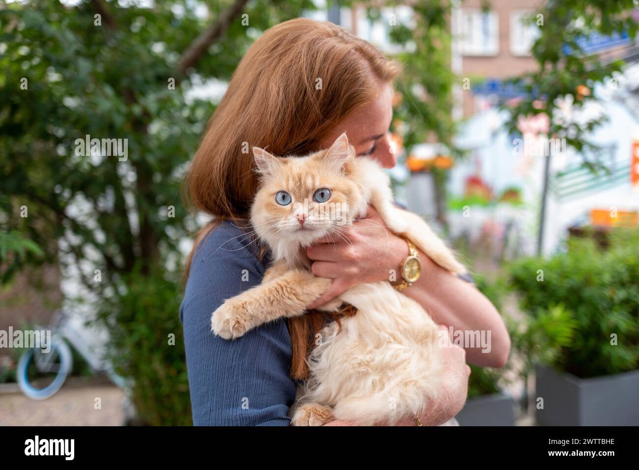 Femme affectueusement câlin son chat moelleux à l'extérieur. Banque D'Images