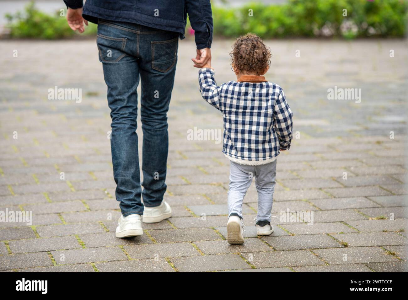 Un moment tendre où un parent marche main dans la main avec son jeune enfant. Banque D'Images