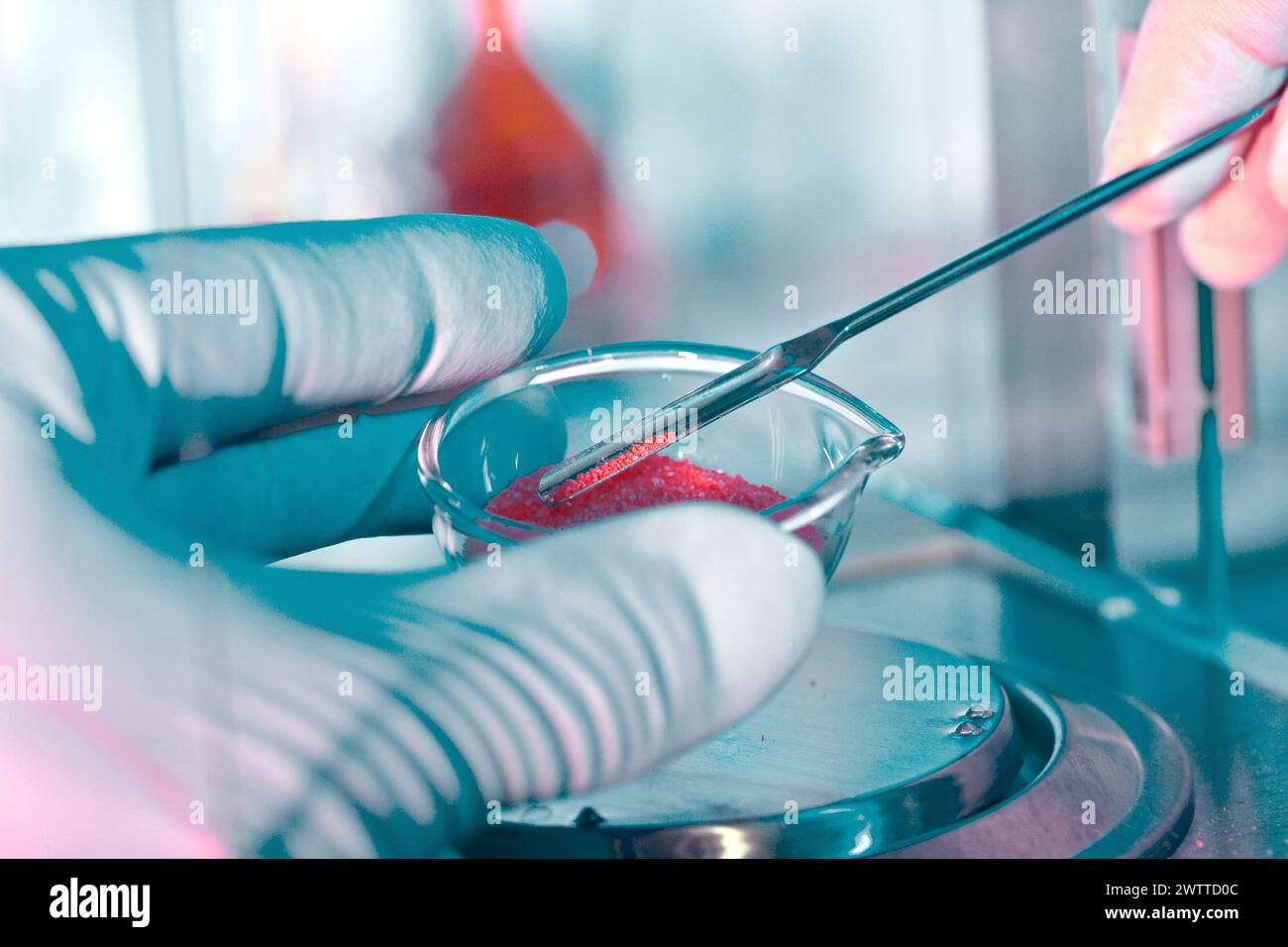 Scientifique menant une expérience de laboratoire avec une boîte de Pétri Banque D'Images