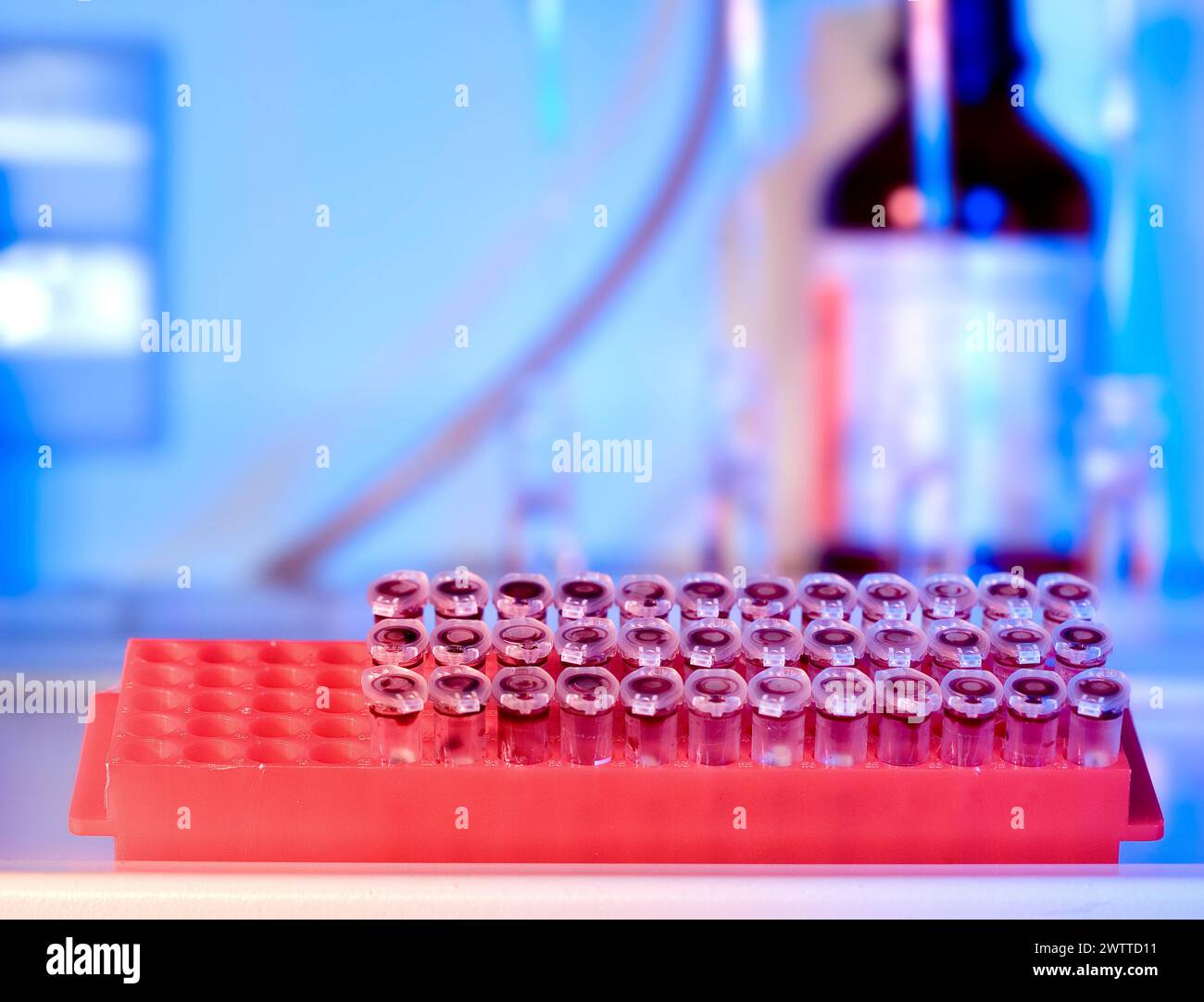 Échantillons scientifiques dans un environnement de laboratoire avec un fond bleu doux Banque D'Images