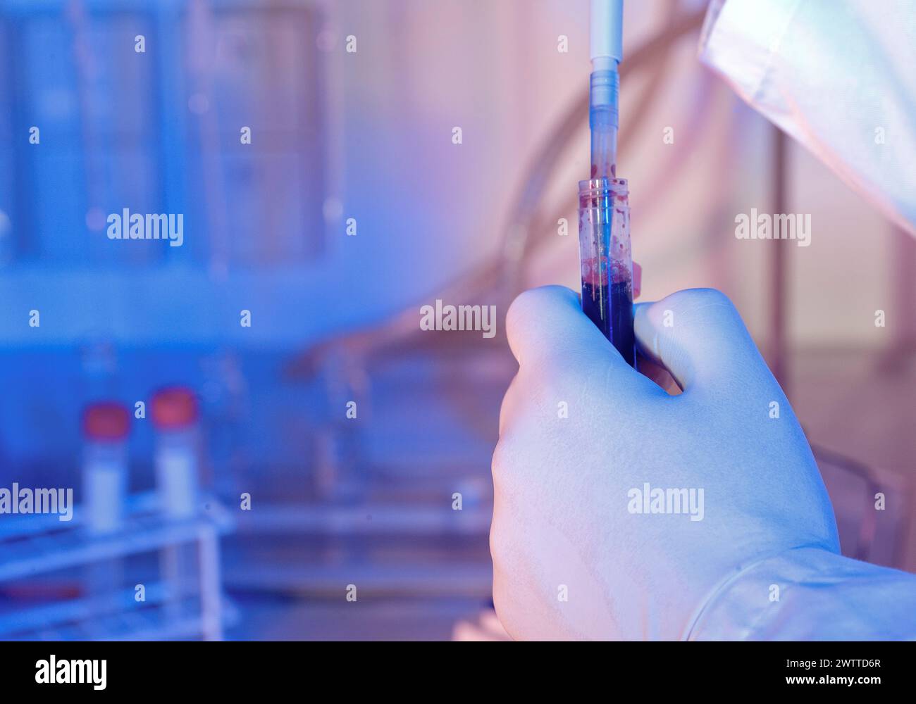 Scientifique menant des recherches avec une seringue dans le laboratoire Banque D'Images