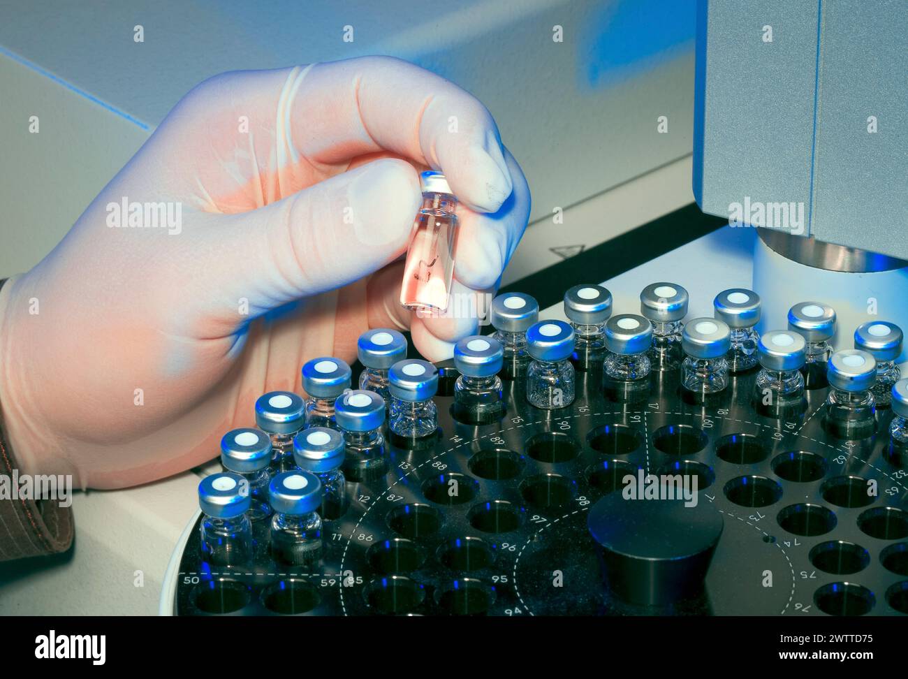 Scientifique examinant une fiole dans un laboratoire Banque D'Images