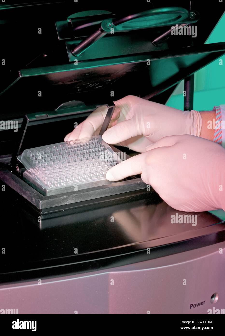 Mains en gants manipulant des équipements de laboratoire pour la recherche scientifique Banque D'Images