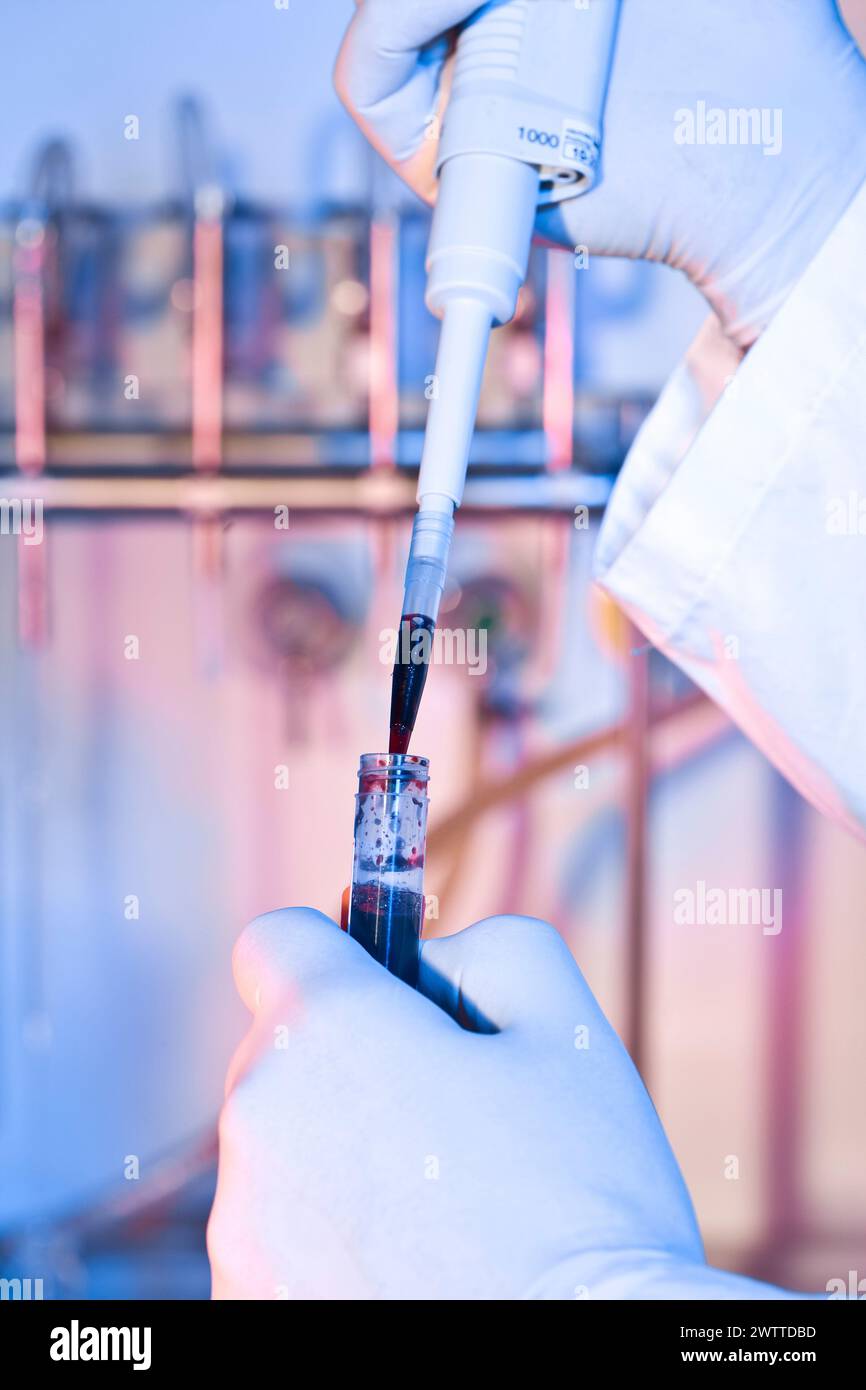 Scientifique pipettant un échantillon dans le laboratoire Banque D'Images