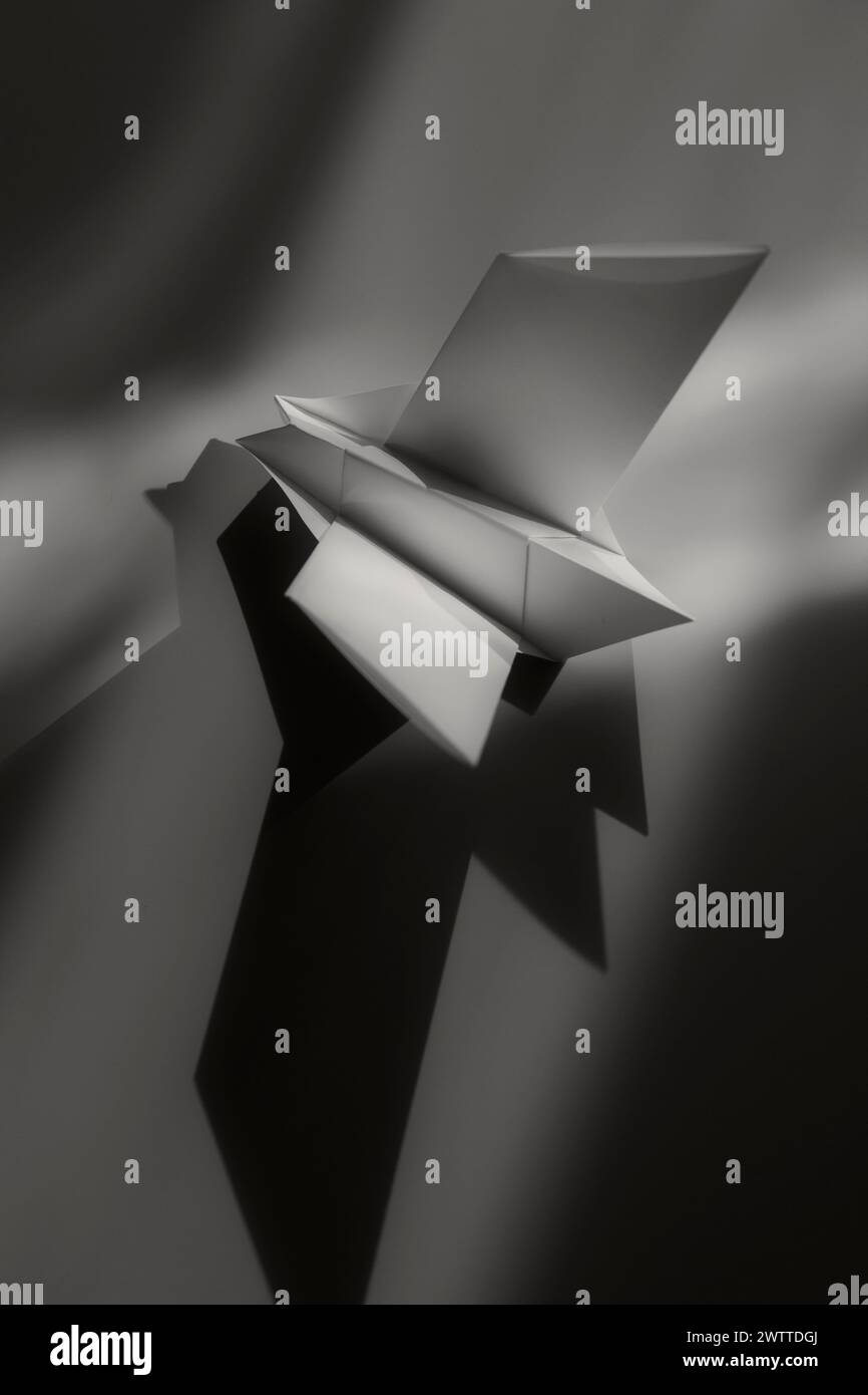 Art origami monochromatique projetant une ombre nette Banque D'Images