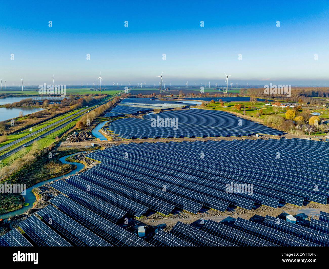 Une vaste ferme solaire s'étendant sous un ciel bleu clair flanqué d'éoliennes Banque D'Images