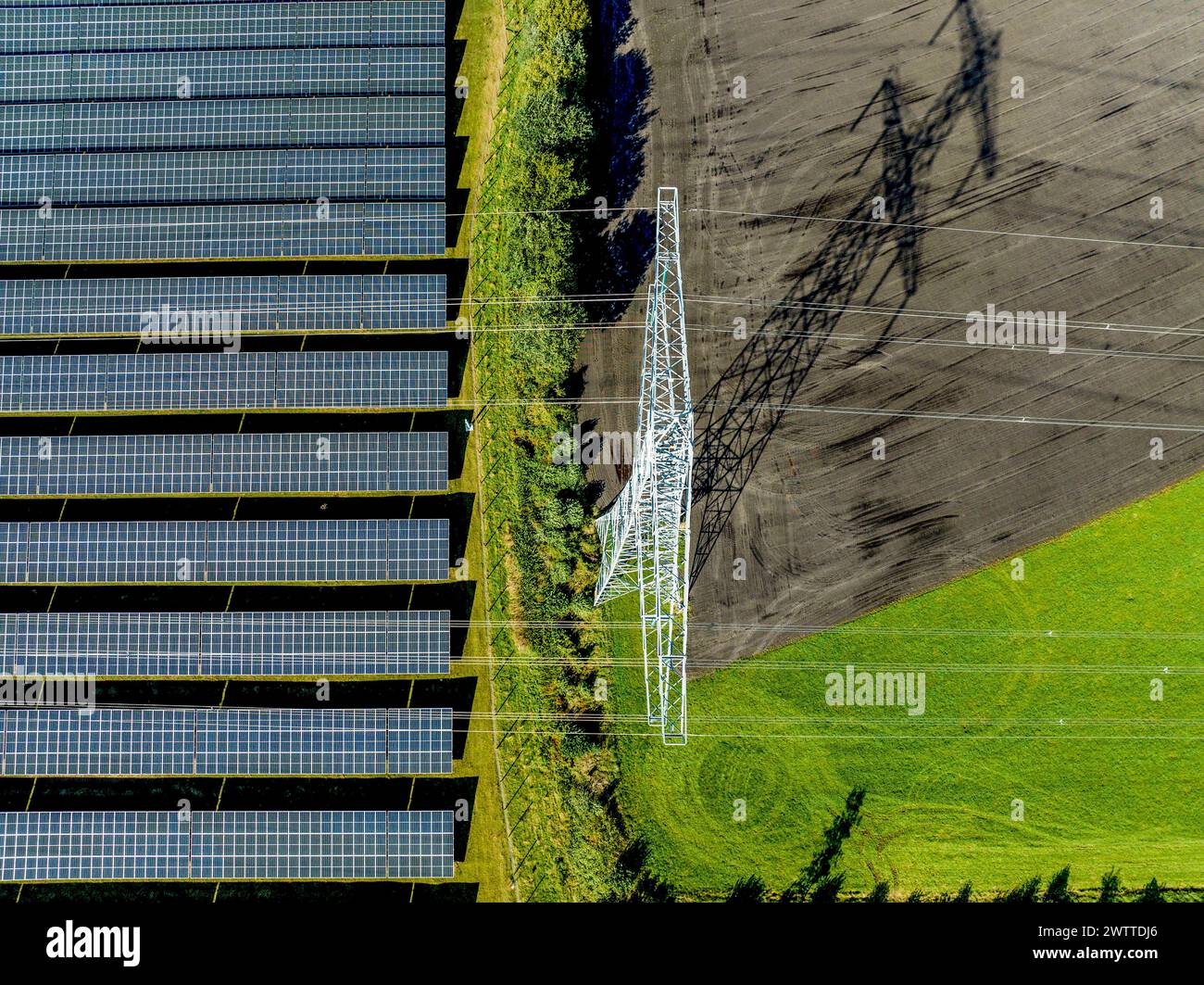 Vue aérienne d'une ferme solaire flanquée de champs verts et d'une tour de transmission projetant de longues ombres. Banque D'Images