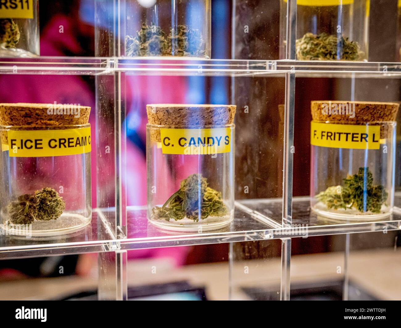 Variétés de cannabis assorties exposées dans une vitrine en verre dans un dispensaire Banque D'Images