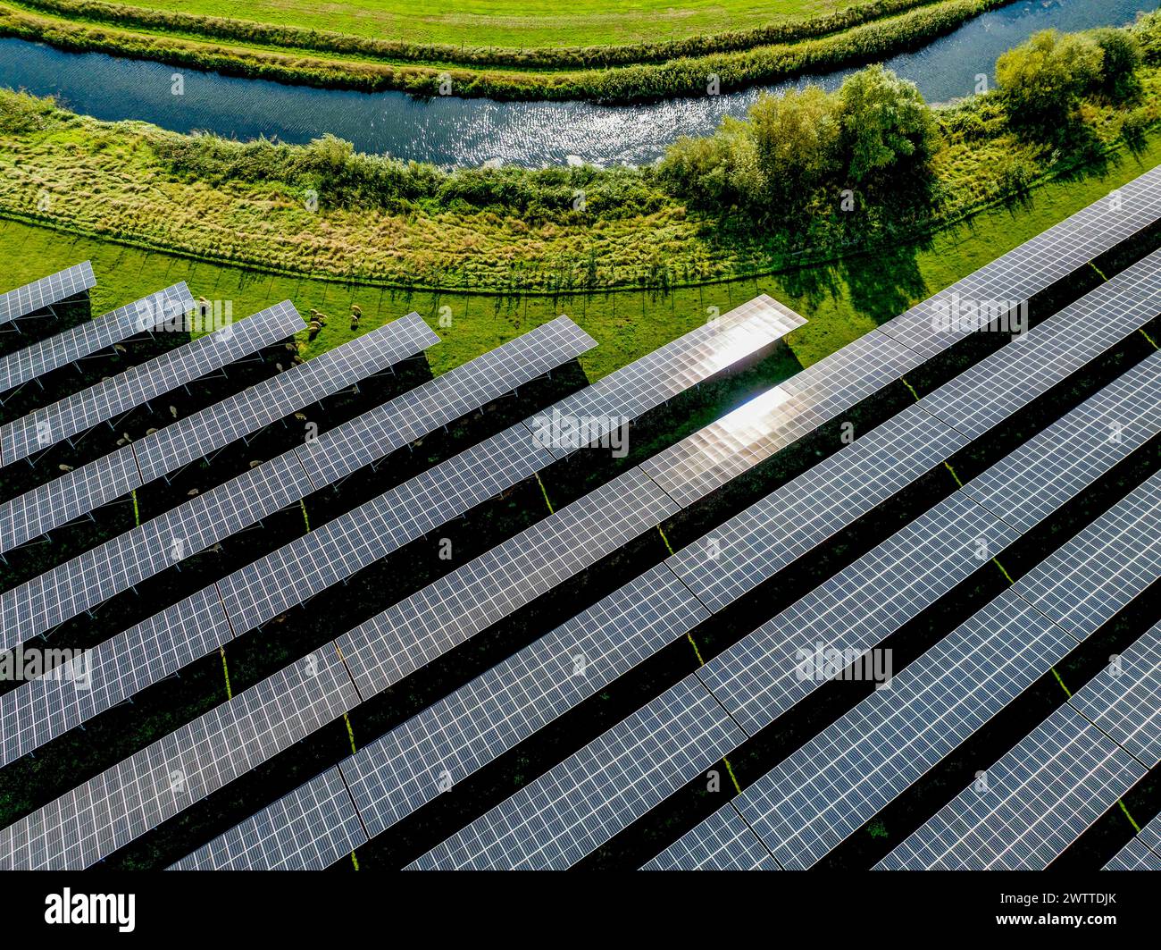 Vue aérienne d'une ferme solaire avec verdure luxuriante environnante Banque D'Images