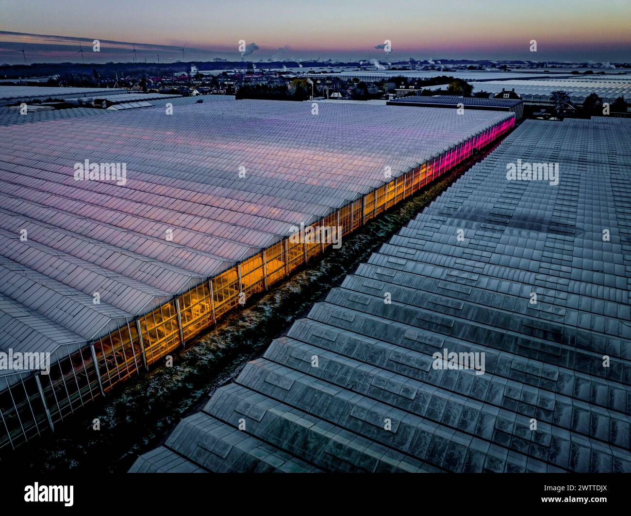 Les teintes du coucher du soleil baignent le vaste complexe de serres dans une lueur chaude. Banque D'Images