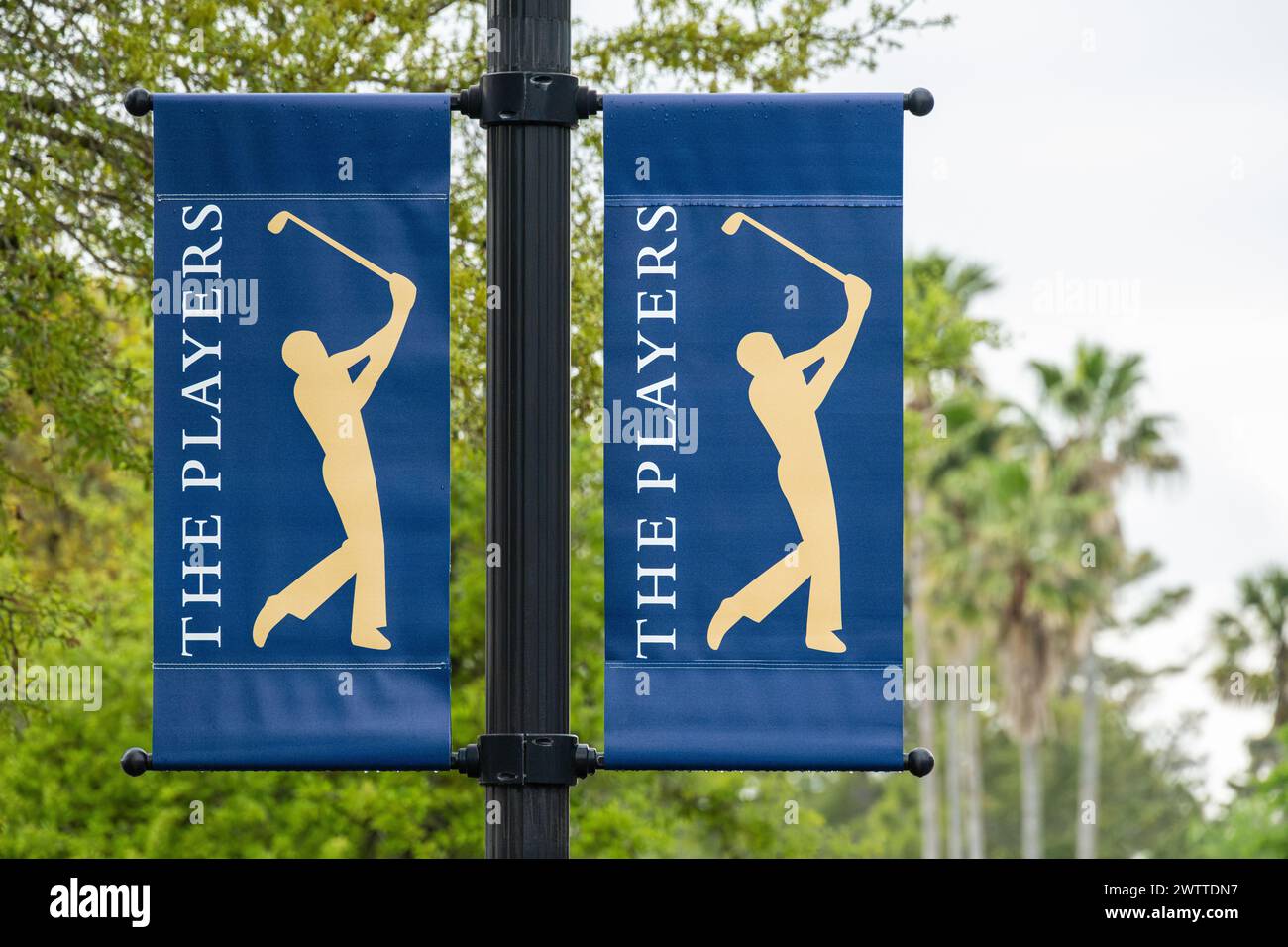 Bannières lampadaires pour LE Championnat PLAYERS Golf au TPC Sawgrass à Ponte Vedra Beach, Floride. (ÉTATS-UNIS) Banque D'Images