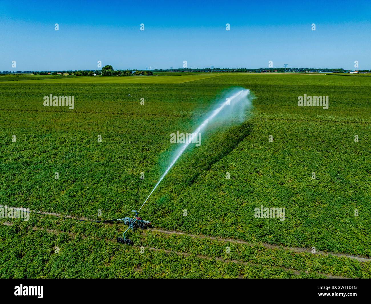 Système d'irrigation arrosant un champ vert luxuriant par une journée ensoleillée Banque D'Images