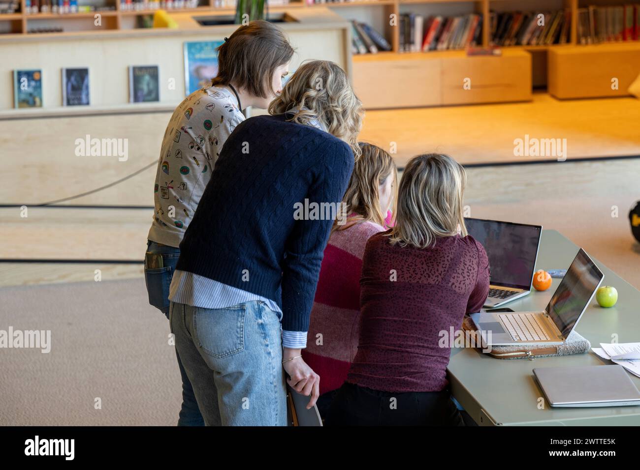 Un groupe de personnes engagées dans une discussion sur un ordinateur portable dans un cadre de bibliothèque. Banque D'Images