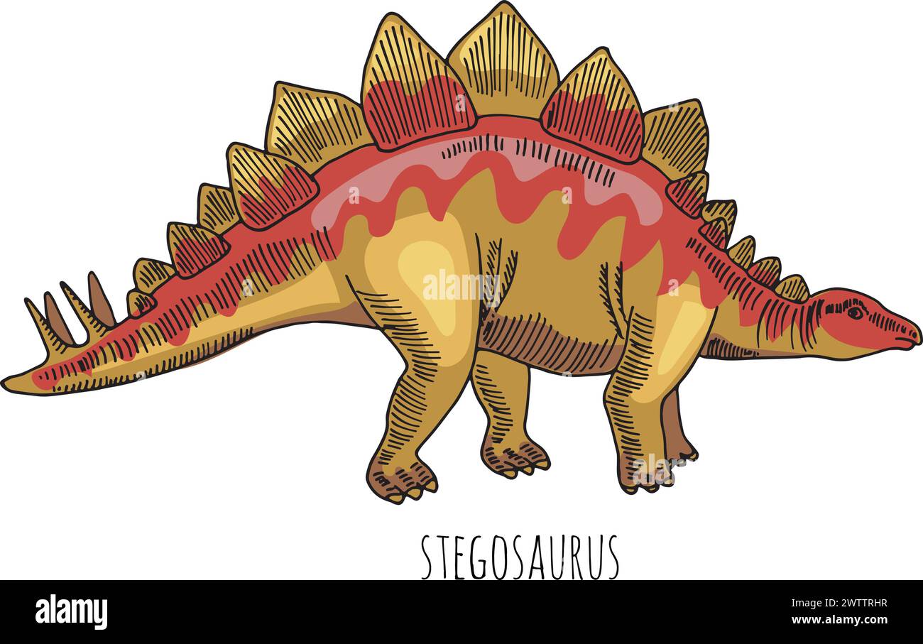 Dessin en couleur de dinosaure Stegosaur. Herbivore sauvage et ancien Illustration de Vecteur