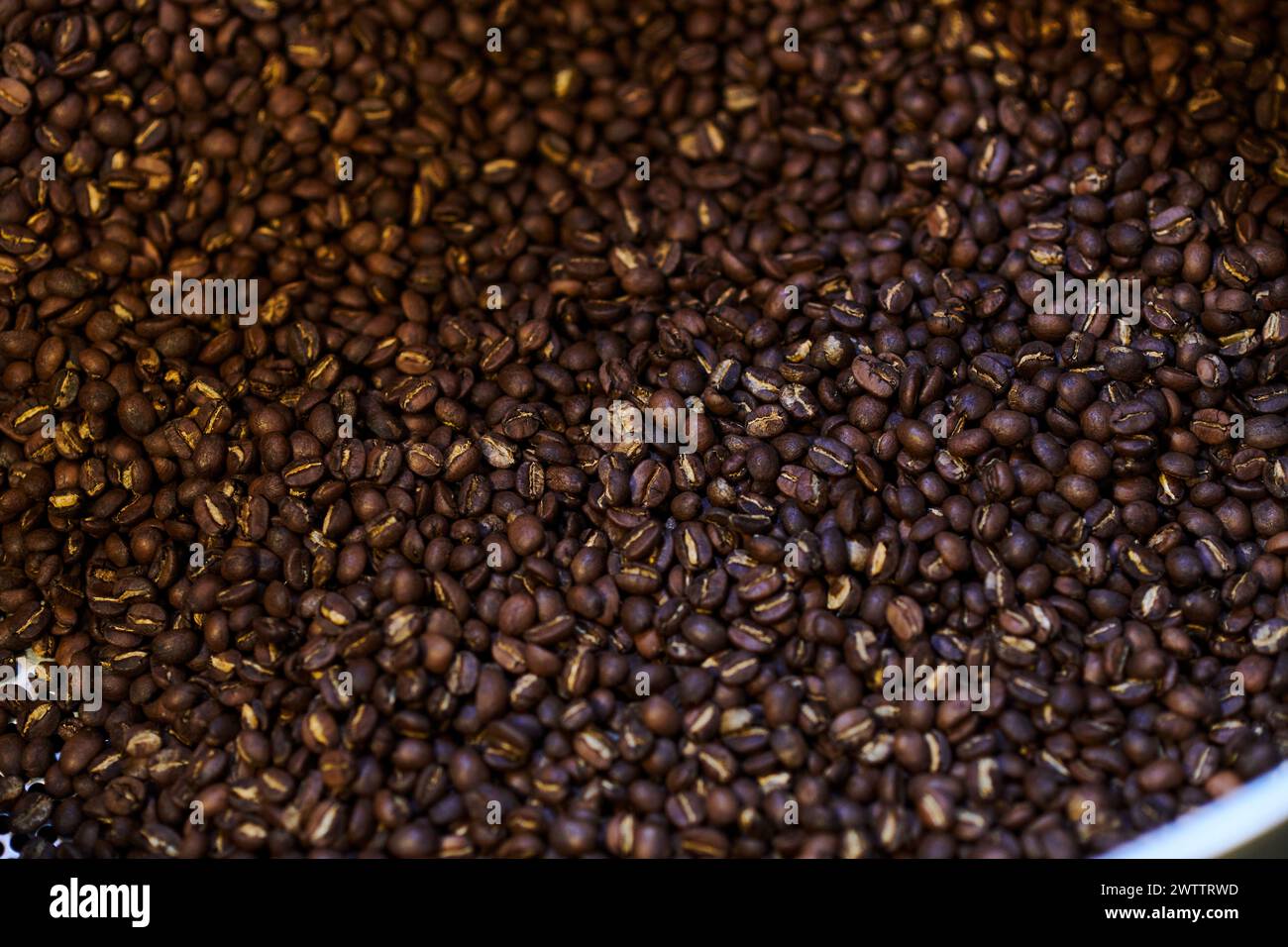 Close-up of roasted Coffee beans Banque D'Images