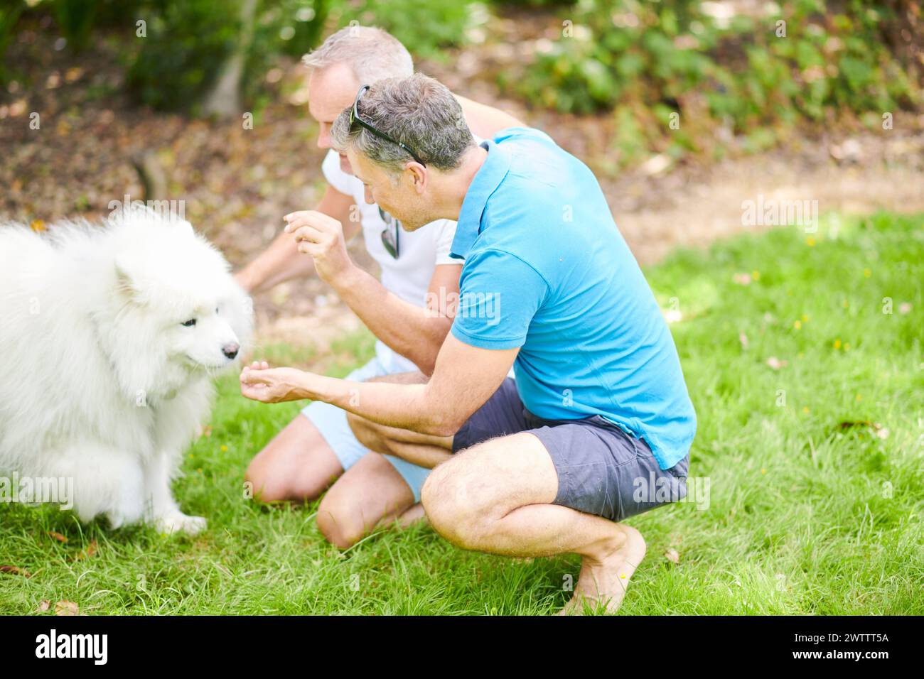 Deux hommes interagissant avec un chien blanc pelucheux à l'extérieur Banque D'Images