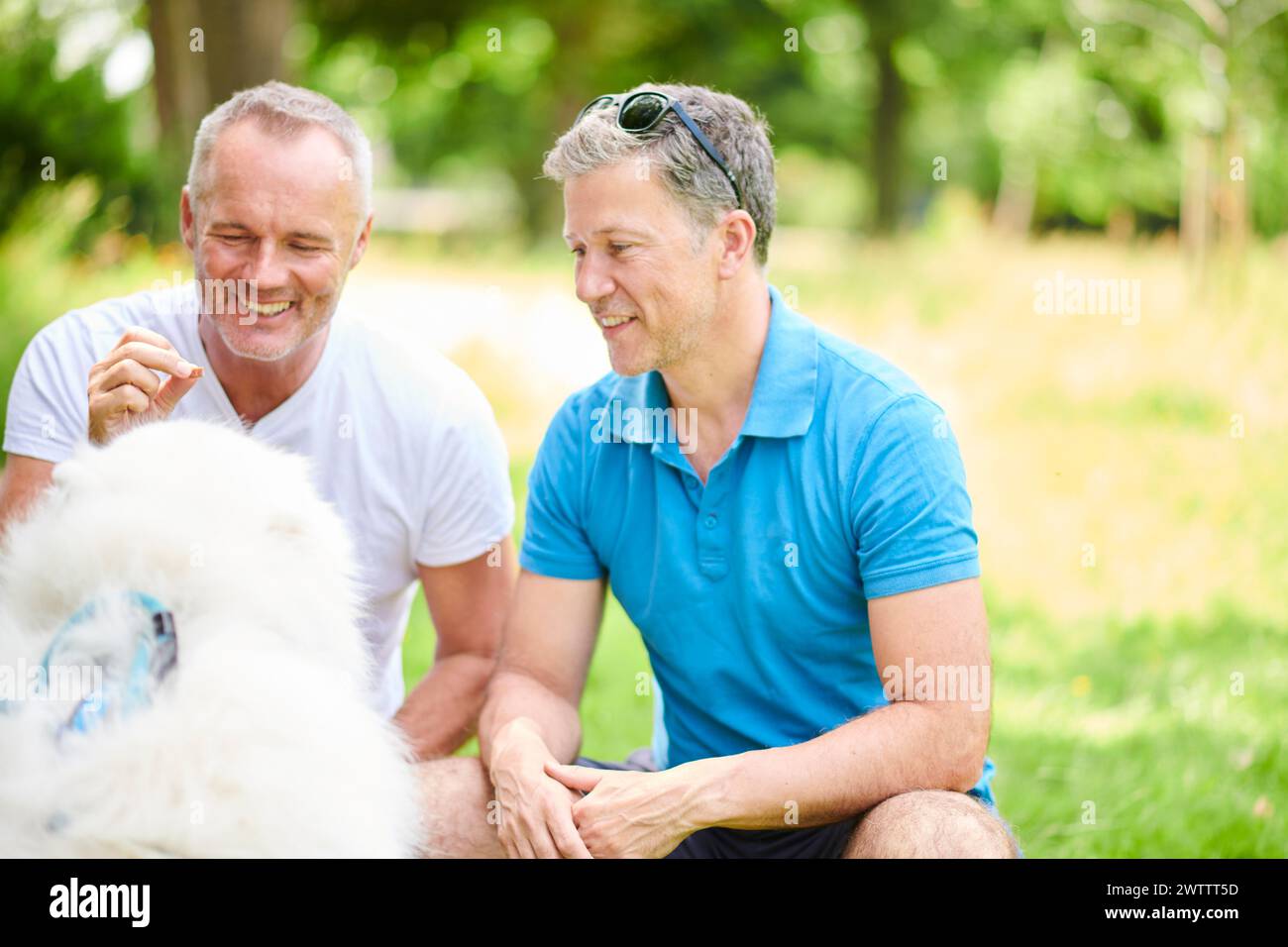 Deux hommes souriant avec un chien moelleux dans un parc Banque D'Images