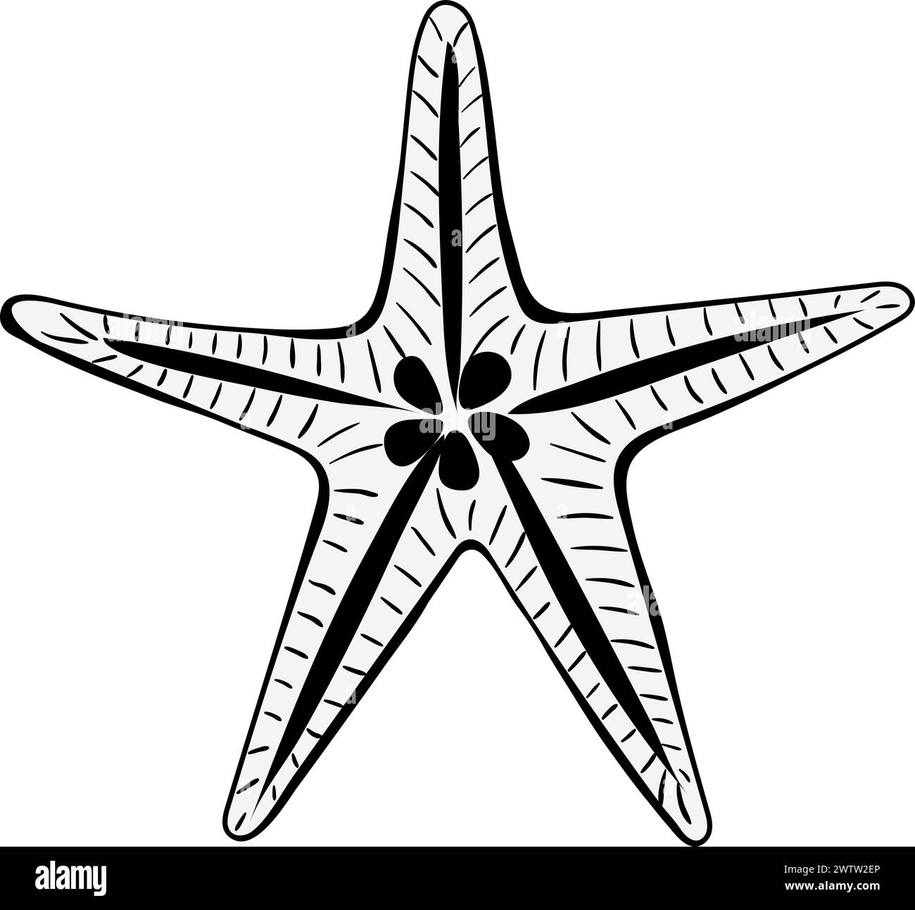 Icône de ligne noire étoile de mer. Animal de plage d'été Illustration de Vecteur