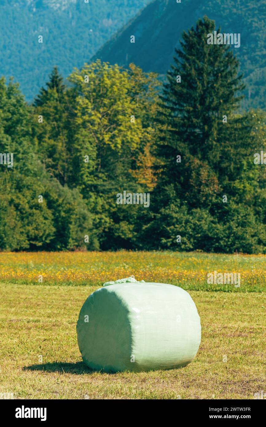 Herbe de prairie fauchée roulée et emballée dans un emballage plastique comme fourrage pour animaux, scène de la campagne slovène, mise au point sélective Banque D'Images