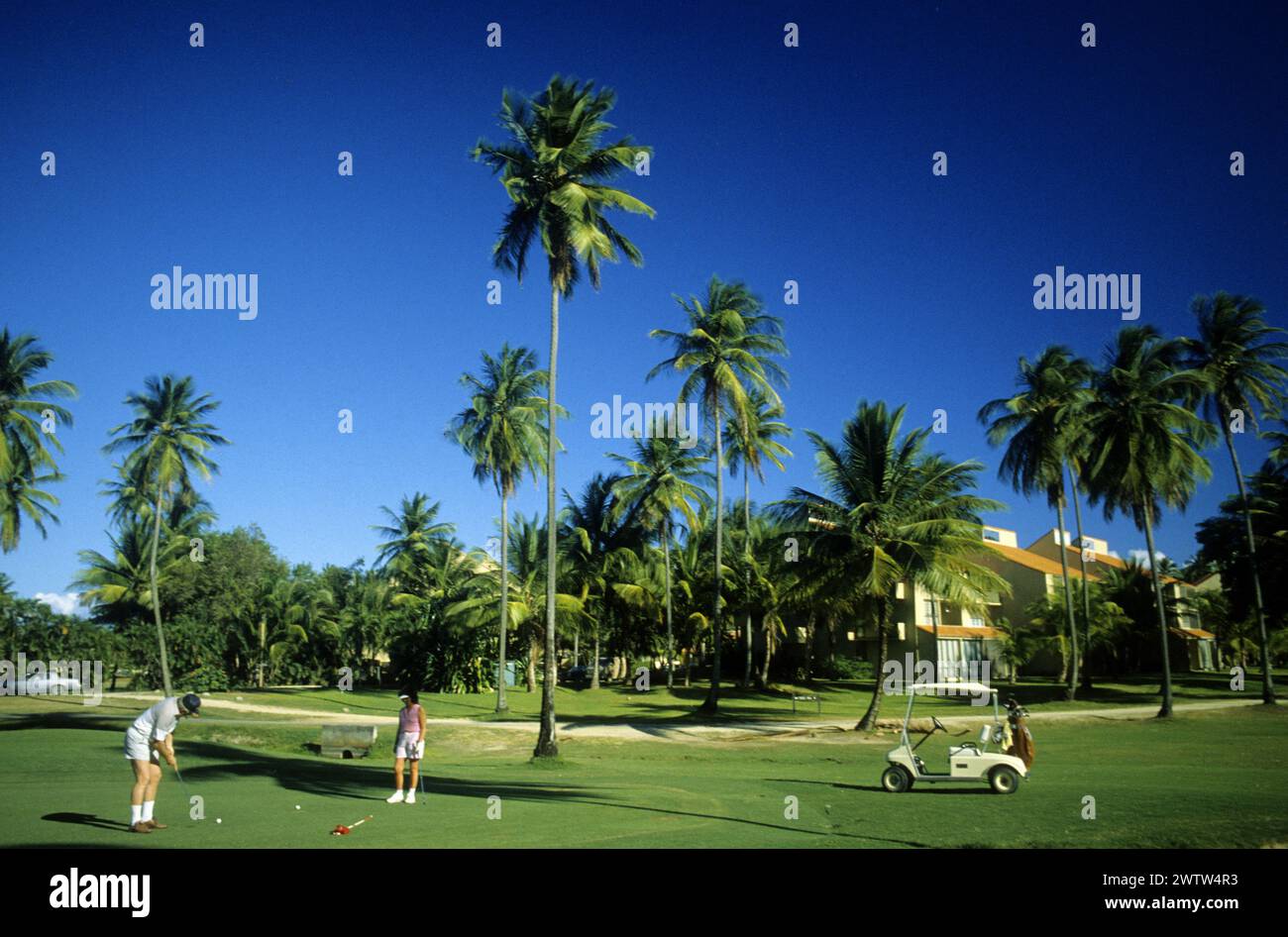 porto rico porto rico usa terrain de golf avec palmiers Banque D'Images