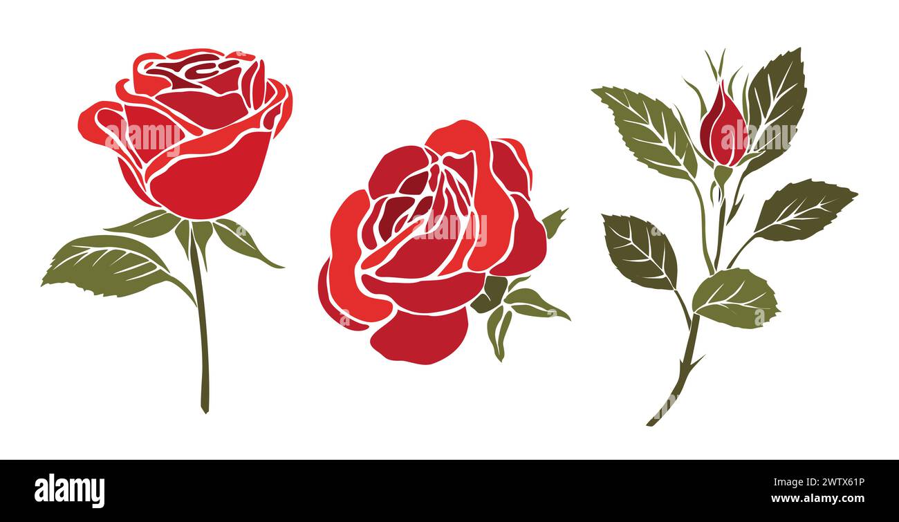 Ensemble de fleurs de rose rouge fraîche décoratives Illustration de Vecteur