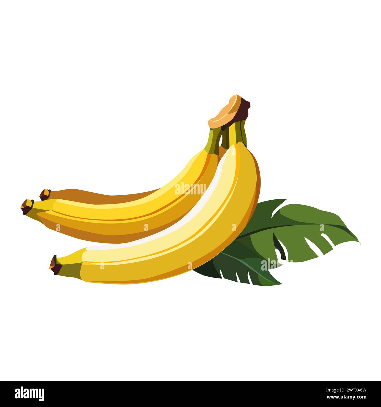 Bananes jaunes tropicales saines avec des feuilles vertes isolées sur fond blanc. Illustration de fruits vectoriels dans un style plat. Clipart de plage d'été pour desi Illustration de Vecteur