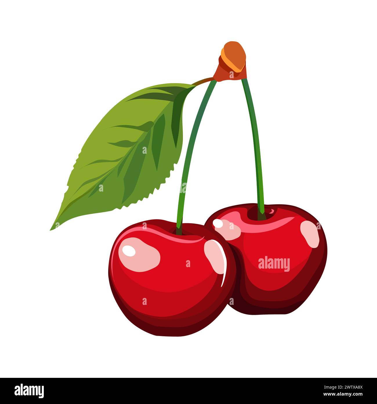 Couple juteux et sain rouge de cerises avec feuille verte isolé sur fond blanc. Illustration de fruits vectoriels dans un style plat. Clipart d'été pour des Illustration de Vecteur