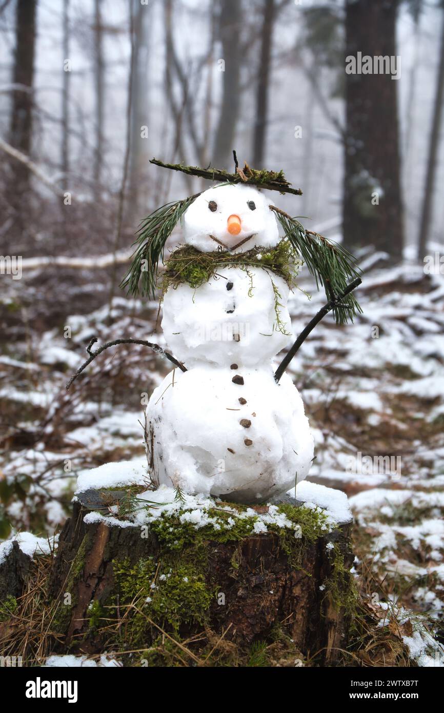 Bonhomme de neige sur une souche d'arbre avec une carotte pour le nez, des boutons, une branche pour les bras et des aiguilles de pin pour les cheveux. Dans la forêt enneigée. Banque D'Images