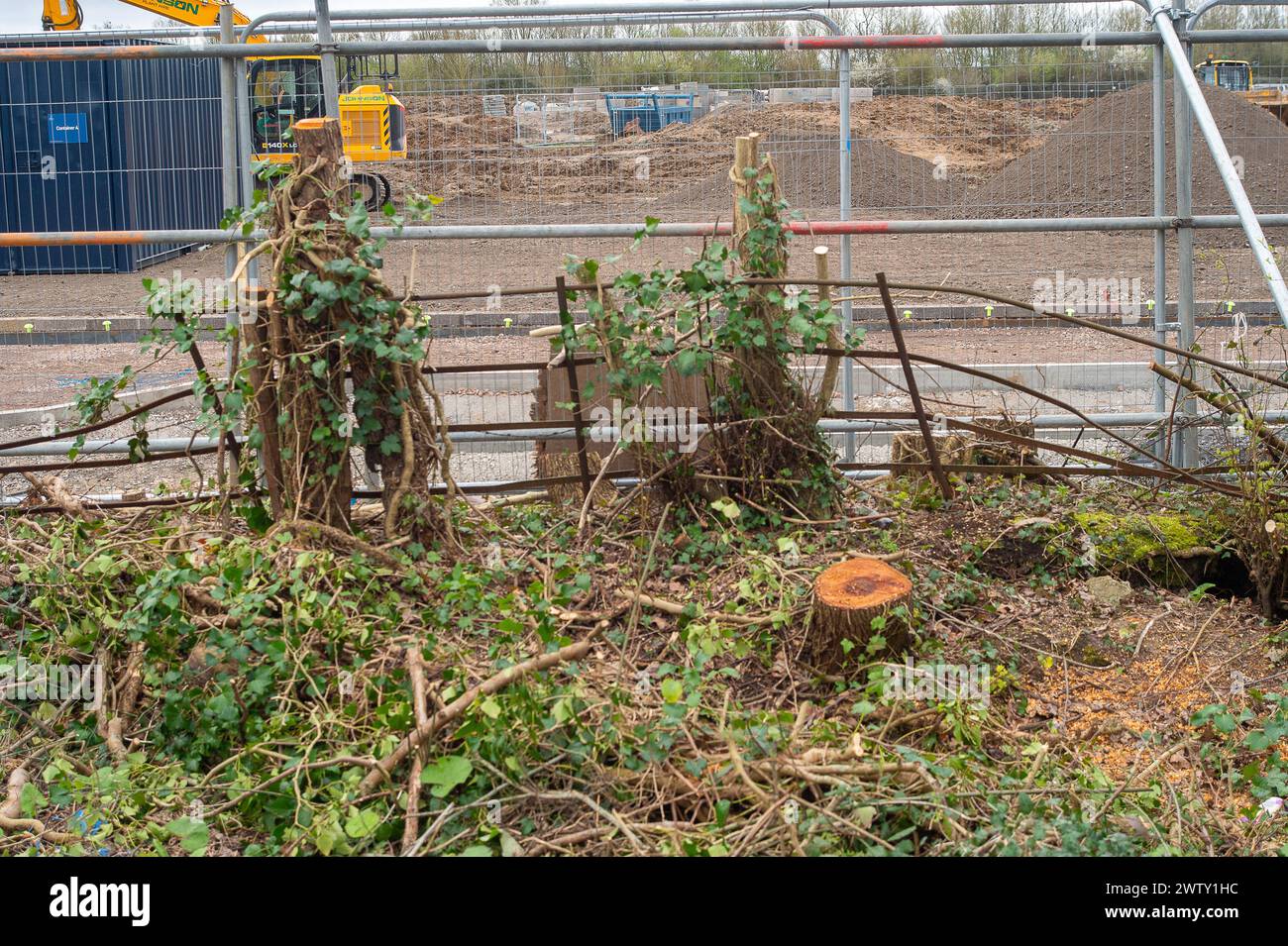 Windsor, Royaume-Uni. 19 mars 2024. De nombreux habitants de Windsor sont très déçus que le Royal Borough de Windsor et Maidenhead aient accordé un permis de construire de nouvelles maisons sur des terres agricoles à côté de Maidenhead Road à Windsor, Berkshire. Des arbres ont été abattus sur le site et cela entraînera la perte d'un autre habitat faunique important dans l'arrondissement royal. Le développement est construit par Crest Nicholson et s'appelle Windsor Gate. 135 maisons sont en cours de construction et les prix pour certaines maisons sont un appétissant £1.1m. Crédit : Maureen McLean/Alamy Live News Banque D'Images