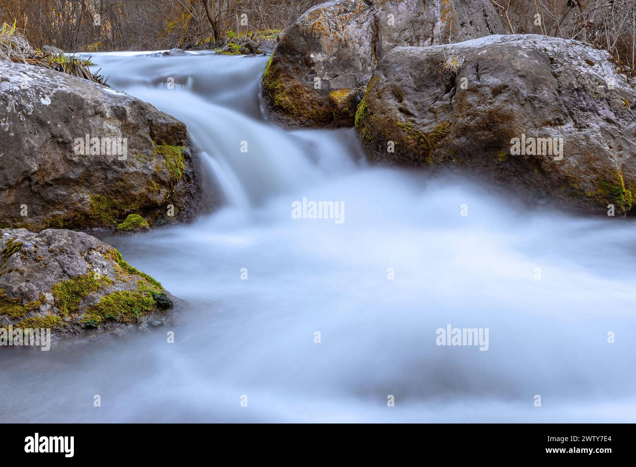 Belle cascade dans les gorges de Tureni, une zone sauvage dans les montagnes Apuseni Banque D'Images