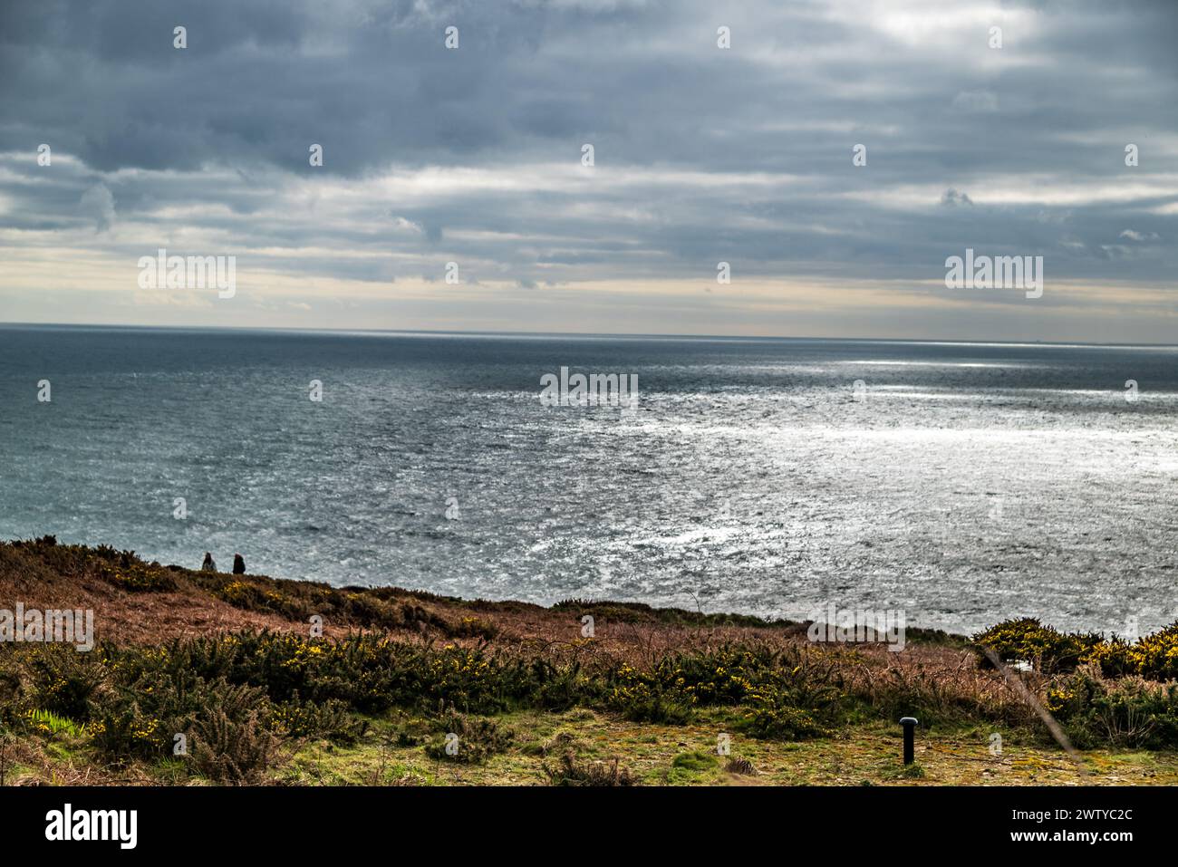 Shinins jaillit au large de la côte d'Anglesey dans le nord du pays de Galles. Banque D'Images