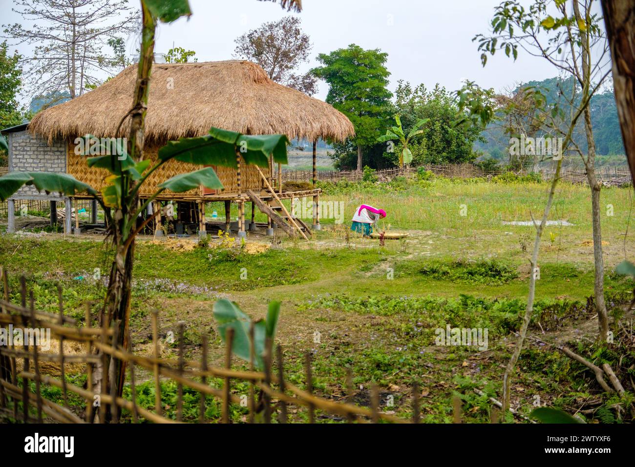 Maisons traditionnelles en bambou sur pilotis dans un village sur l'île de Majuli, Assam, Inde Banque D'Images