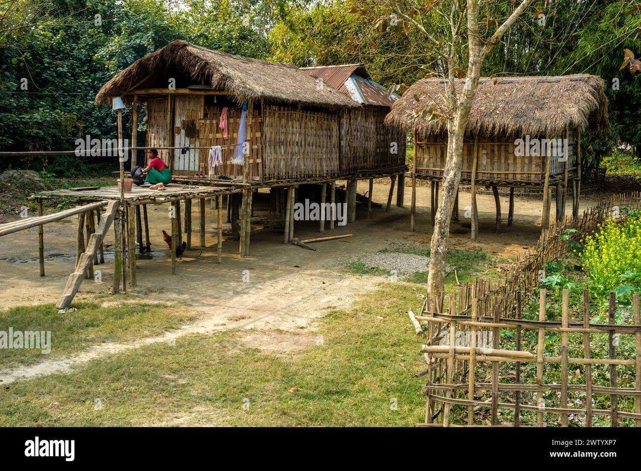 Maisons traditionnelles en bambou sur pilotis dans un village sur l'île de Majuli, Assam, Inde Banque D'Images