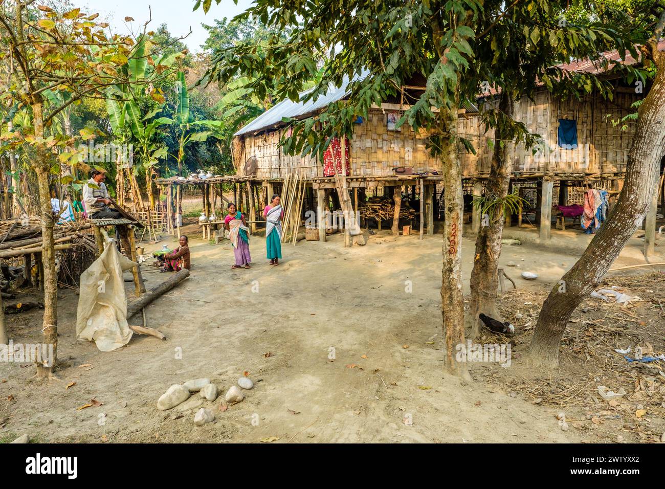 Maisons traditionnelles en bambou sur pilotis dans un village sur l'île, Assam, Inde Banque D'Images