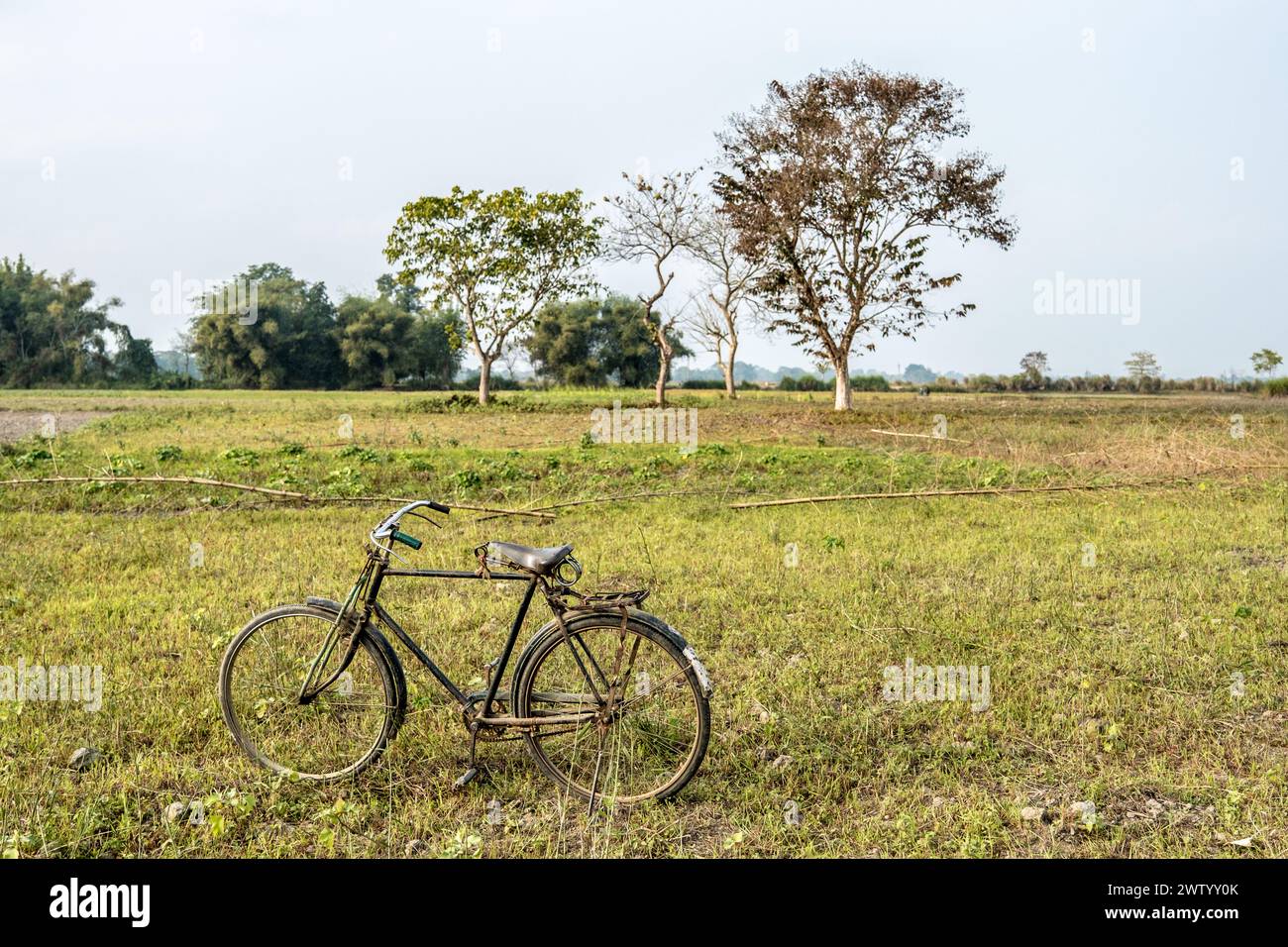 Agriculture traditionnelle sur l'île de Majuli, Assam, Inde Banque D'Images