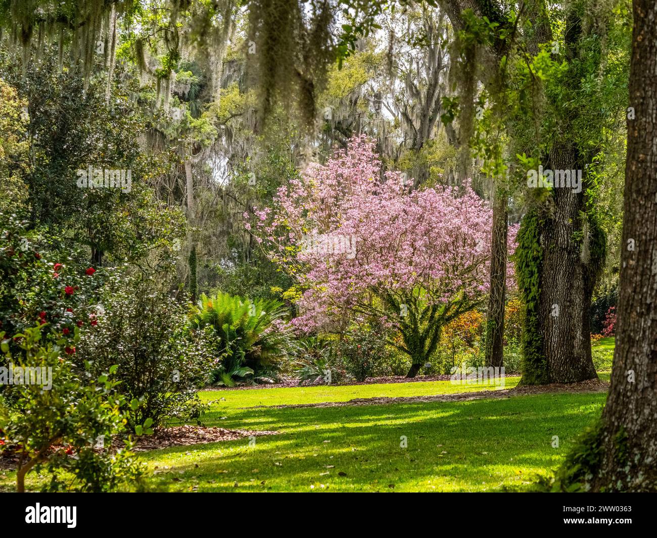 Bok Tower Gardens est un monument historique national sur le registre national des lieux historiques au sommet de Iron Mointain dans le lac de Galles Floride États-Unis Banque D'Images