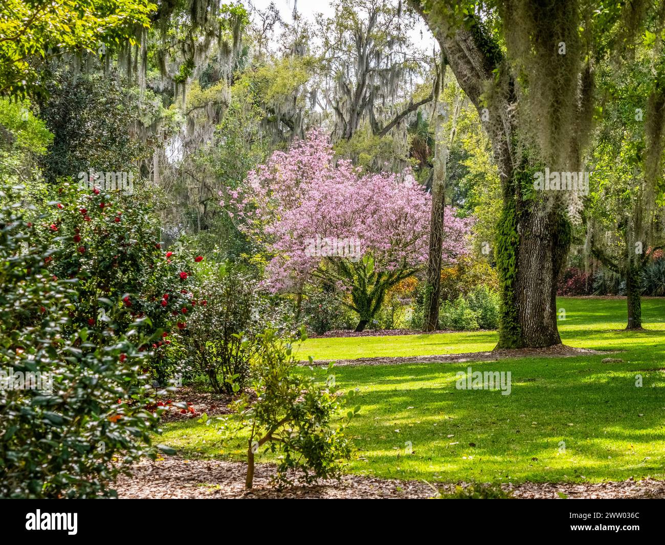 Bok Tower Gardens est un monument historique national sur le registre national des lieux historiques au sommet de Iron Mointain dans le lac de Galles Floride États-Unis Banque D'Images