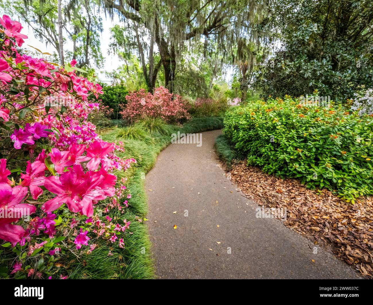 Bok Tower Gardens est un monument historique national sur le registre national des lieux historiques au sommet de Iron Mointain dans le lac de Galles Floride États-Unis Banque D'Images