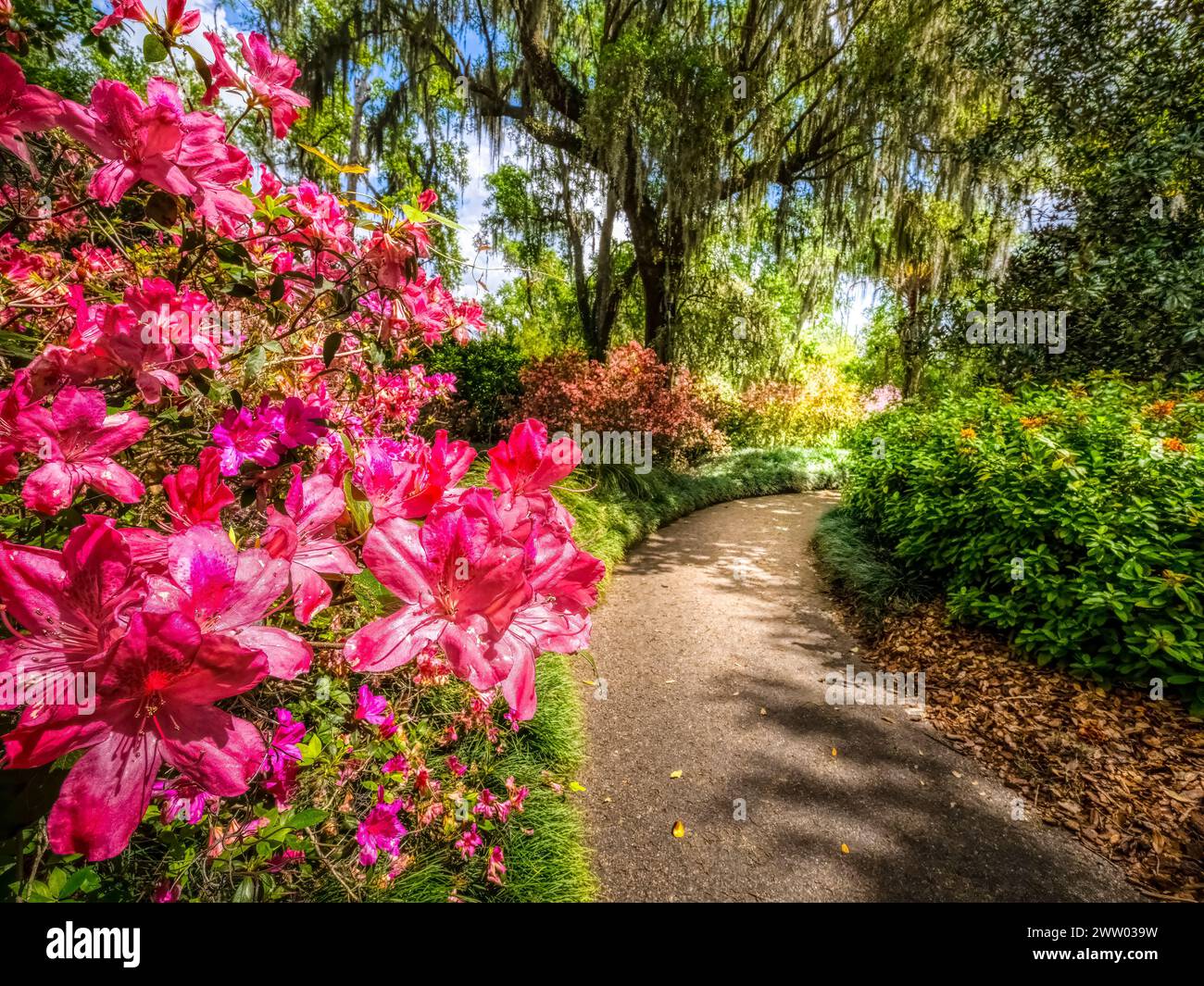 Bok Tower Gardens est un monument historique national sur le registre national des lieux historiques au sommet de Iron Mointain dans le lac de Galles Floride États-Unis Banque D'Images