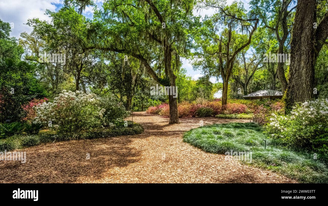 Bok Tower Gardens est un monument historique national sur le registre national des lieux historiques au sommet de Iron Mointain dans le lac de Galles Floride États-Unis Banque D'Images