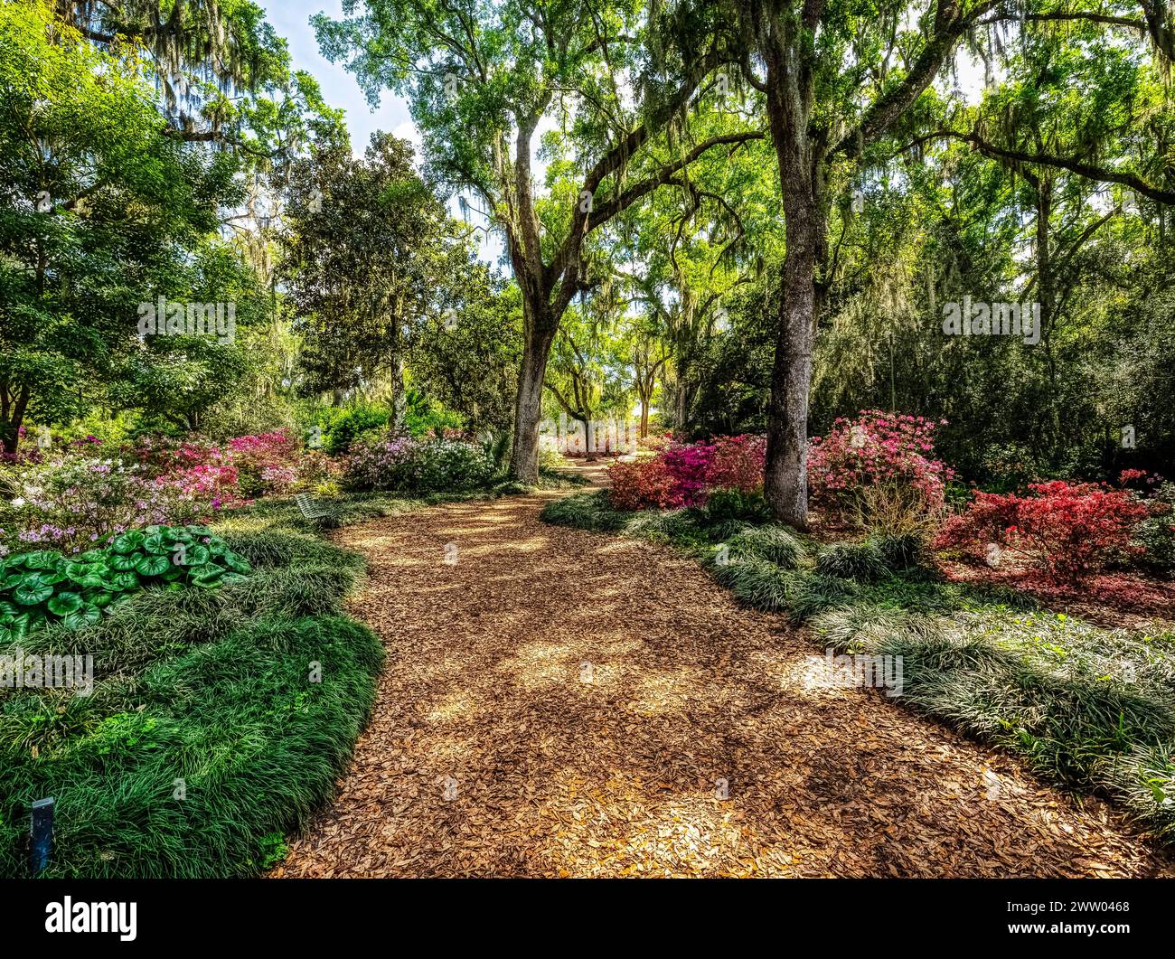 Bok Tower Gardens est un monument historique national sur le registre national des lieux historiques au sommet de Iron Mointain dans le lac de Galles Floride États-Unis Banque D'Images