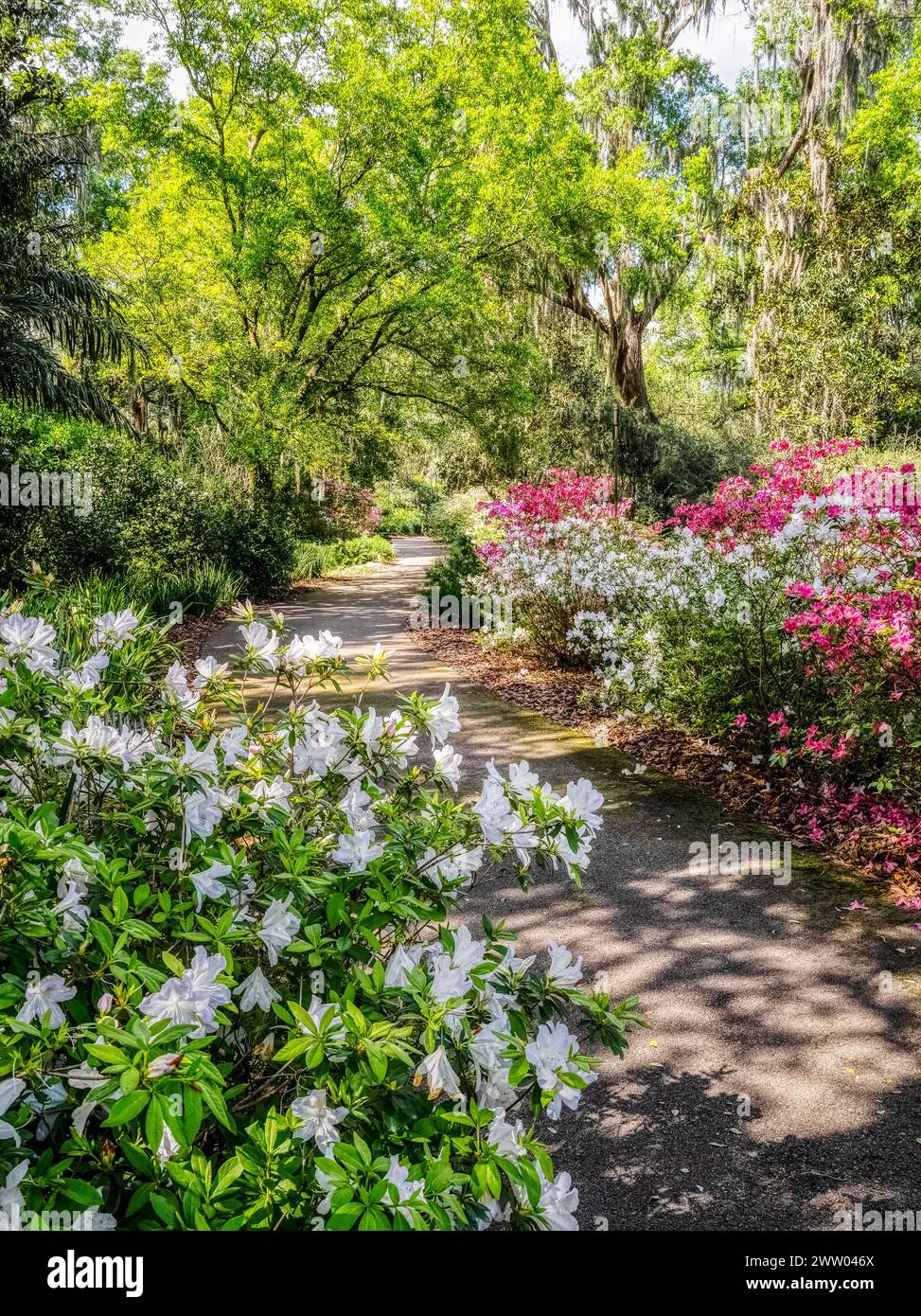 Bok Tower Gardens est un monument historique national sur le registre national des lieux historiques au sommet de Iron Mointain dans le lac de Galles Floride États-Unis Banque D'Images