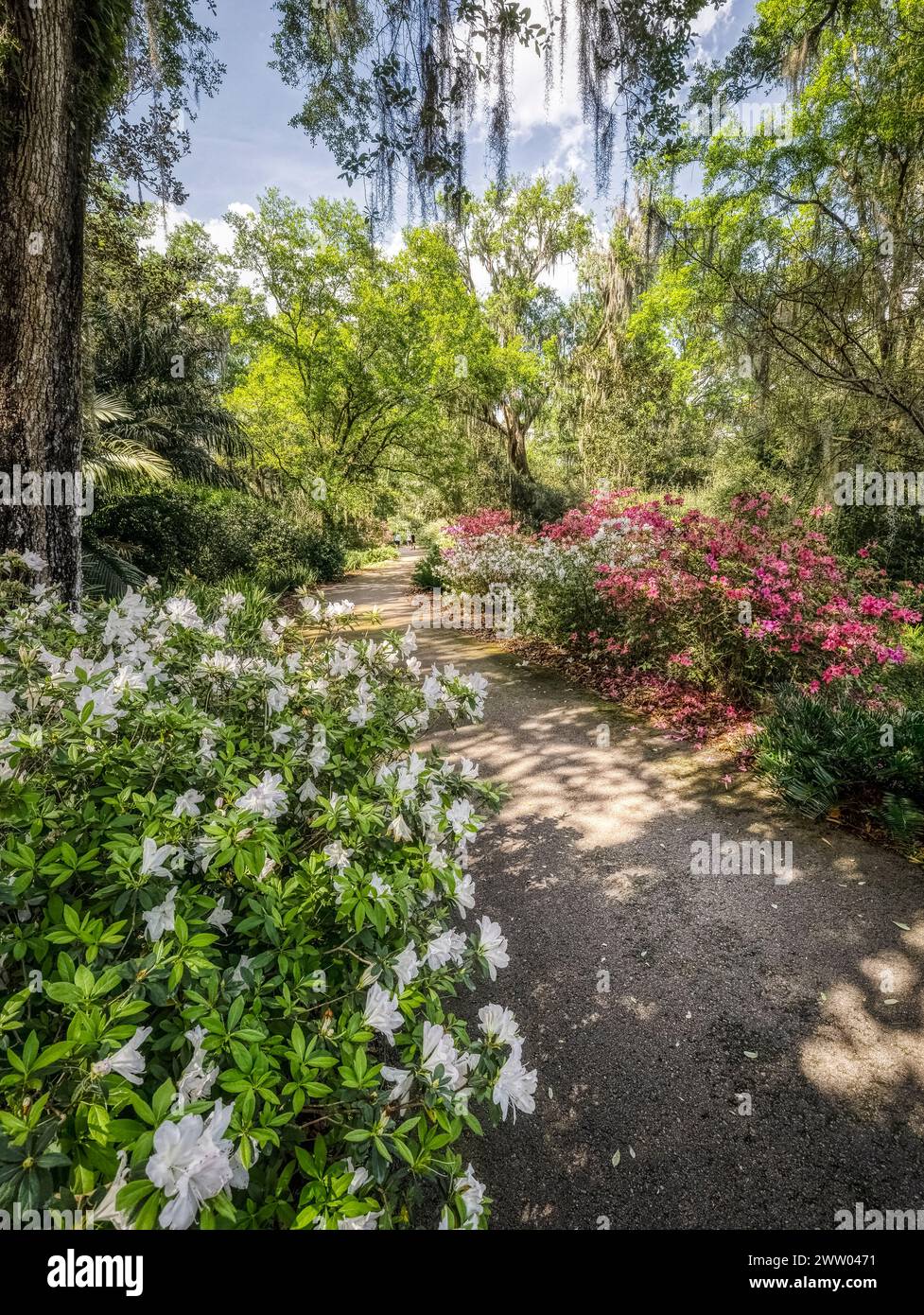 Bok Tower Gardens est un monument historique national sur le registre national des lieux historiques au sommet de Iron Mointain dans le lac de Galles Floride États-Unis Banque D'Images