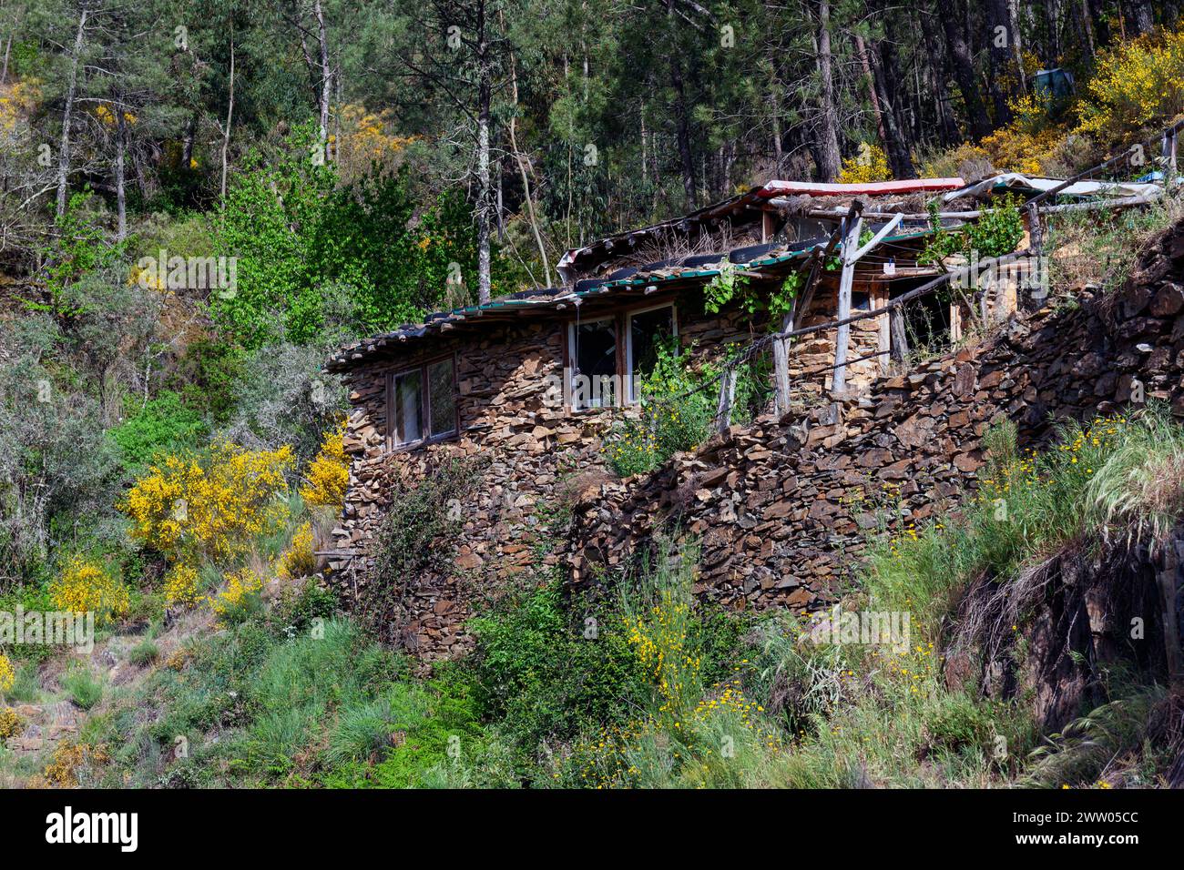 Portugal, District de Coimbra, près de Góis, Coiços, 'The Goat Shed' (près de Colmeal), bâtiment agricole converti en une maison hors réseau Banque D'Images