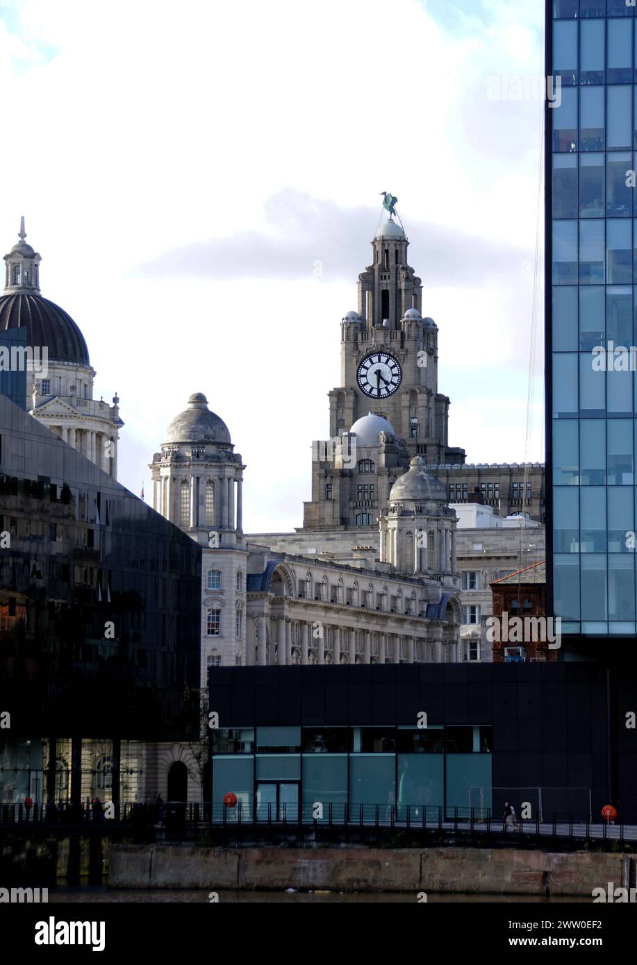 Vue du centre-ville de Liverpool sur le Liver Building, Liver Birds et le premier bâtiment en béton britannique Banque D'Images