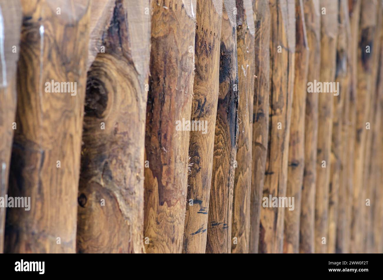 clôture en bois, pour les jardins en bord de route, faite avec de longs poteaux ronds. fond sur le thème du bois, avec des malles traités pour résister à la pluie et aux agents atmosphériques. Banque D'Images