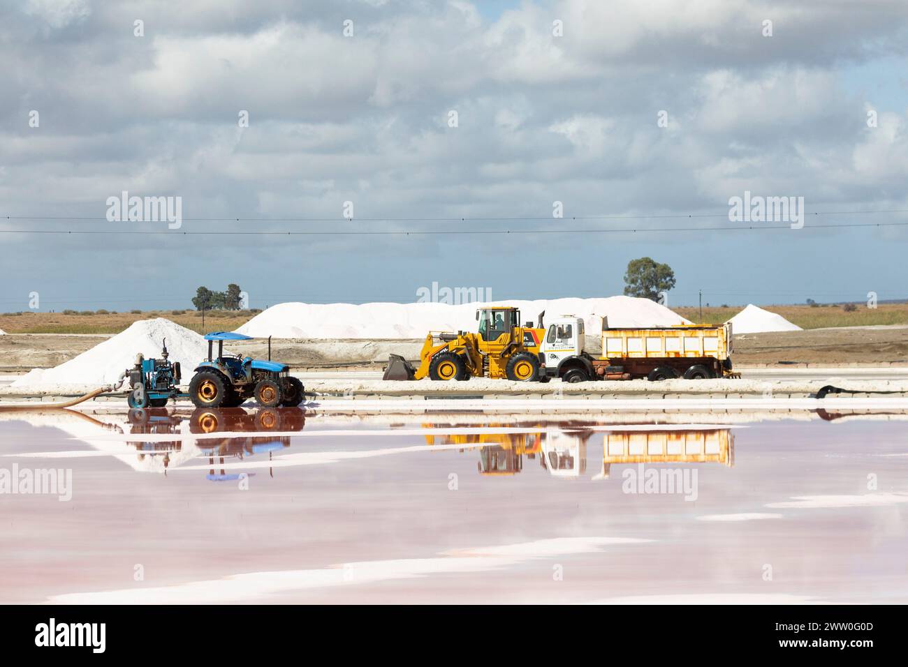 Récolte de sel marin commercial dans des marais d'évaporation, marais salants Kliphoek, Velddrif, côte ouest, Afrique du Sud Banque D'Images