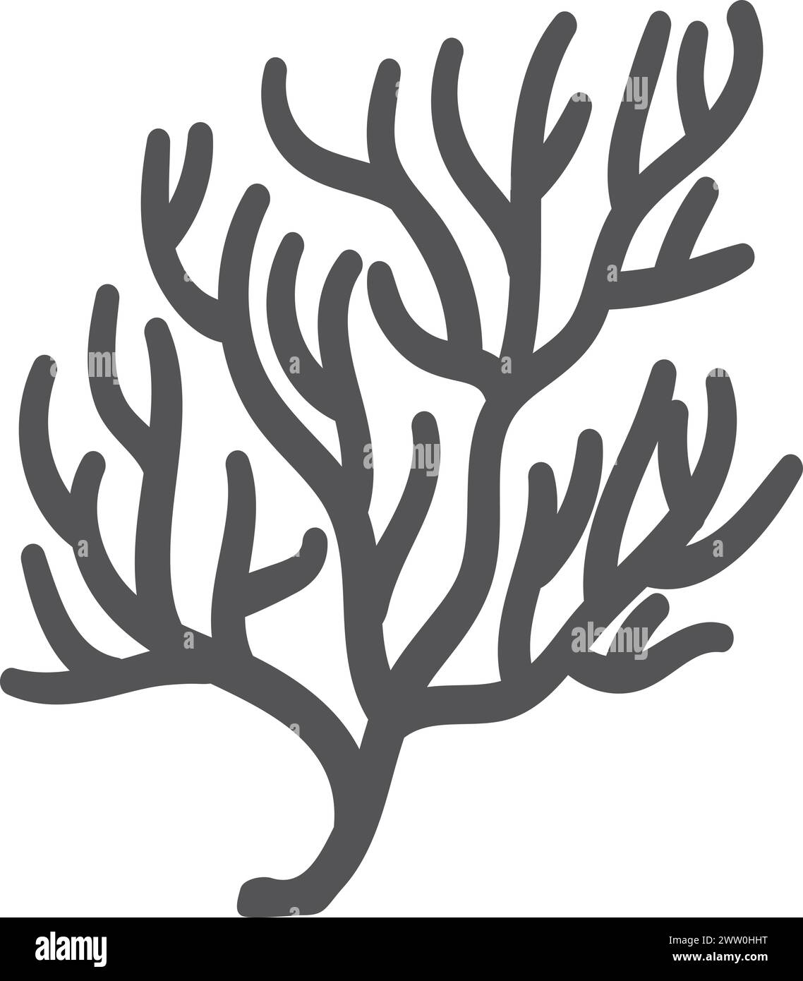 Silhouette noire d'algues. Installation sous-marine. Flore océanique Illustration de Vecteur