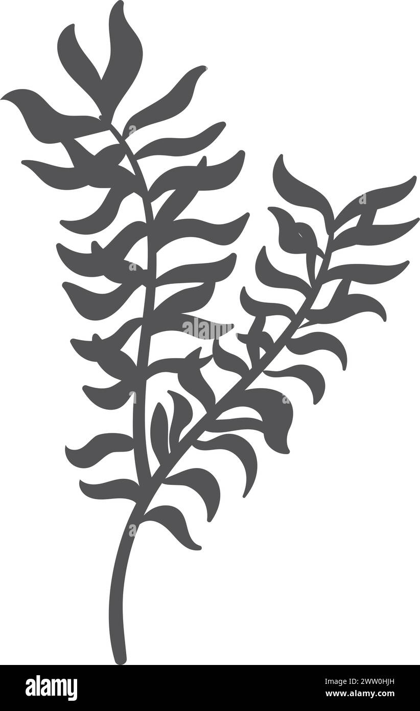 Fond marin Flora silhouette noire. Icône d'algues Illustration de Vecteur